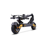 TWOFISH V2 MAX 10inch Foldable Off Road Electric Scooter 48V 800W