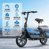TWOFISH M5 Elite 500W Electric Scooter 48v 500w 14in