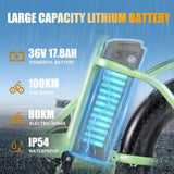 TWOFISH TF2 Electric Bike 20" Folding Electric Bikes