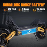 TWOFISH V2 MAX 10inch Foldable Off Road Electric Scooter 48V 800W