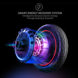 ZINC FORMULA E GZ3 SERIES 500W FOLDING ELECTRIC SCOOTER