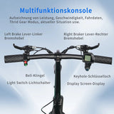 TWOFISH M5 Elite 500W Electric Scooter 48v 500w 14in