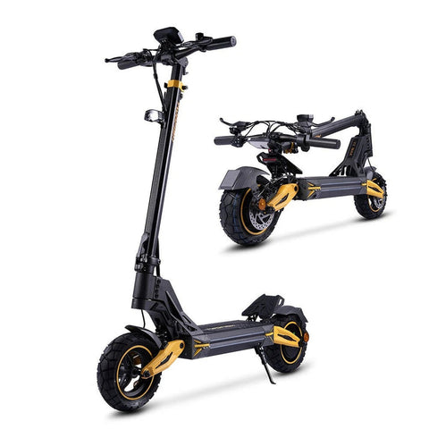 TWOFISH V2 MAX 10inch Foldable Off Road Electric Scooter 48V 800W
